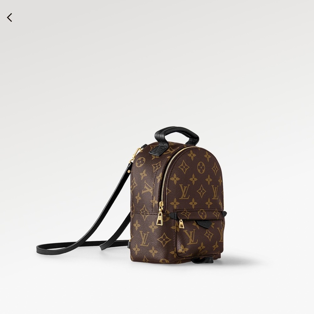 Palm Springs Louis Vuitton bag -Palm Springs Mini